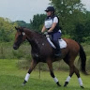 Meet your Posher, Marlene